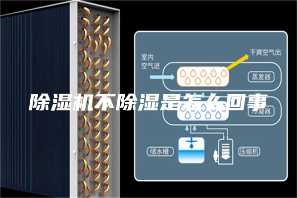 除湿机不除湿是怎么回事