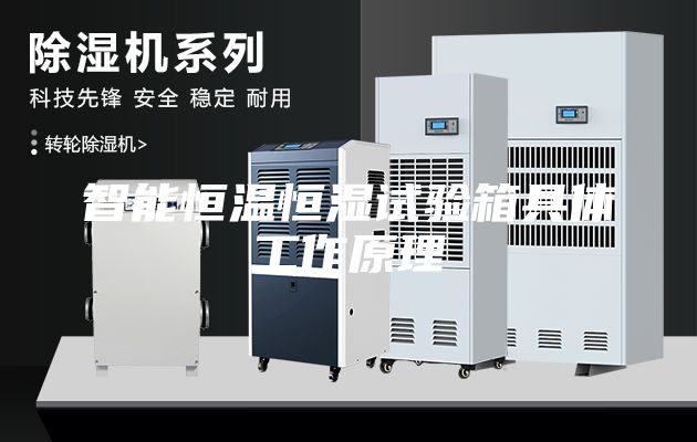智能恒温恒湿试验箱具体工作原理