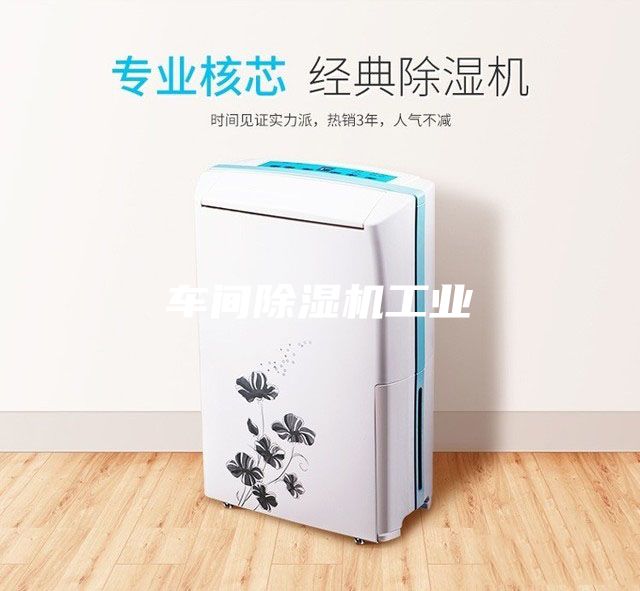 车间除湿机工业
