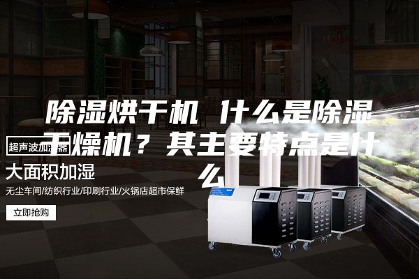 除湿烘干机 什么是除湿干燥机？其主要特点是什么