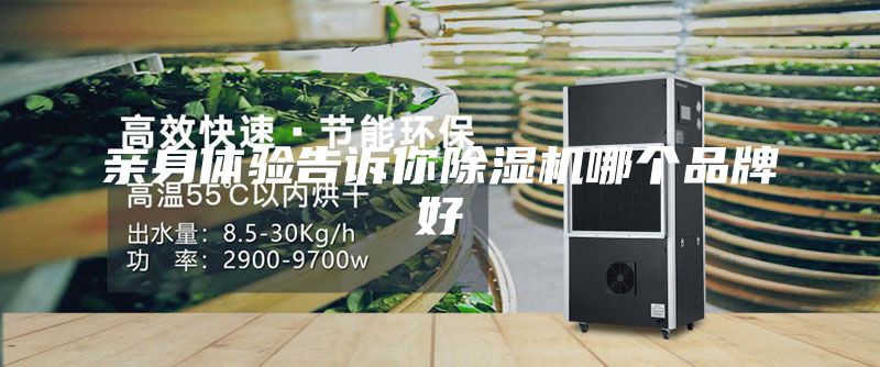 亲身体验告诉你除湿机哪个品牌好