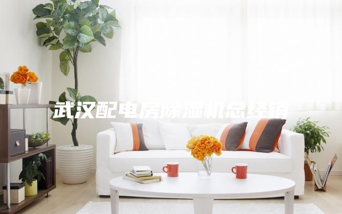 武汉配电房除湿机总经销