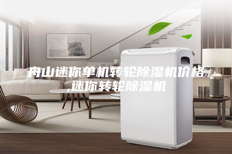 舟山迷你单机转轮除湿机价格,迷你转轮除湿机