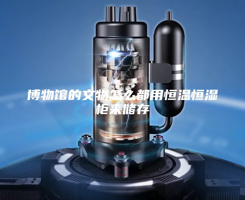 博物馆的文物怎么都用恒温恒湿柜来储存