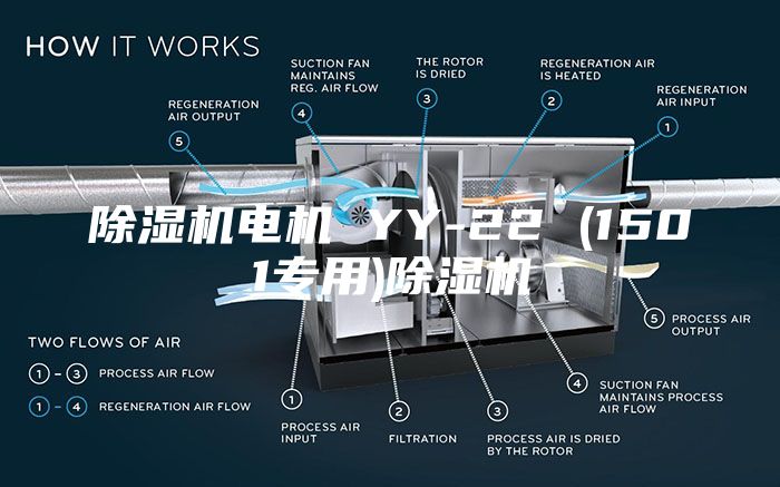除湿机电机 YY-22 (1501专用)除湿机