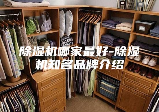 除湿机哪家最好-除湿机知名品牌介绍