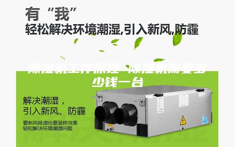 除湿机工作原理 除湿机需要多少钱一台