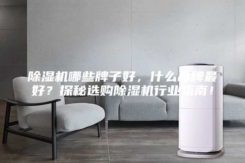 除湿机哪些牌子好，什么品牌最好？探秘选购除湿机行业指南！