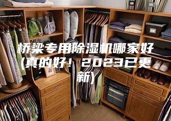桥梁专用除湿机哪家好(真的好！2023已更新)