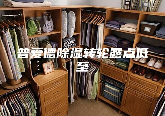 普爱德除湿转轮露点低至