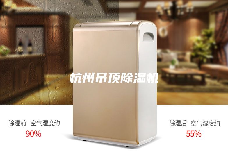 杭州吊顶除湿机