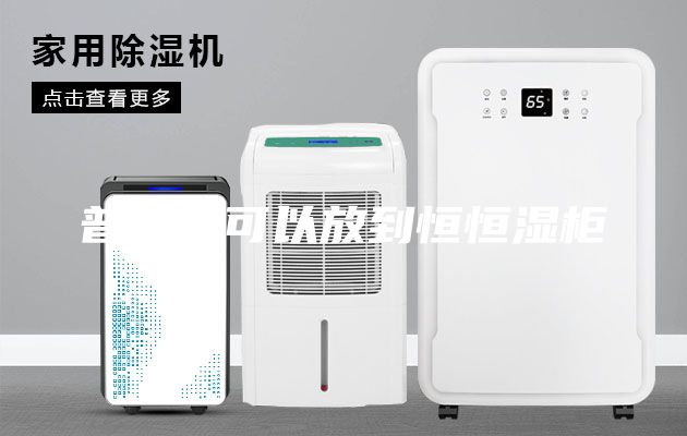 普洱茶可以放到恒恒湿柜