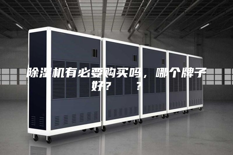 除湿机有必要购买吗，哪个牌子好？  ？