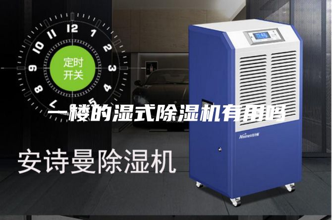 一楼的湿式除湿机有用吗
