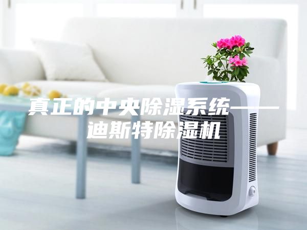 真正的中央除湿系统——迪斯特除湿机