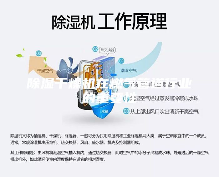 除湿干燥机在燃气管道行业的重要性