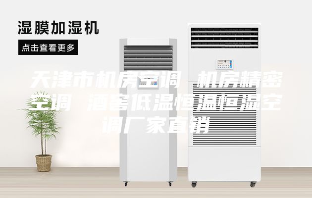天津市机房空调 机房精密空调 酒窖低温恒温恒湿空调厂家直销