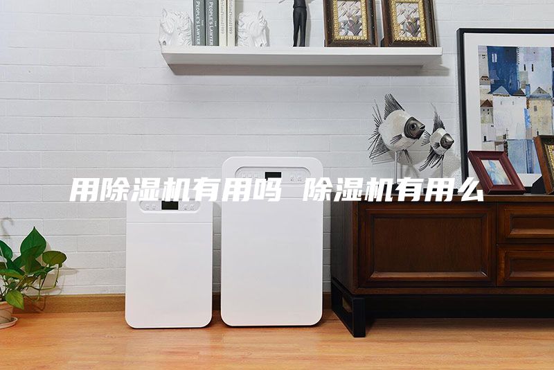 用除湿机有用吗 除湿机有用么