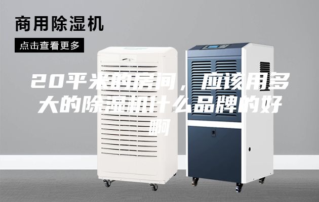20平米的房间，应该用多大的除湿机什么品牌的好啊