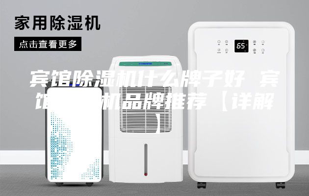 宾馆除湿机什么牌子好 宾馆除湿机品牌推荐【详解】