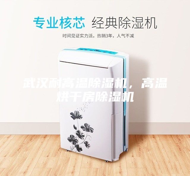 武汉耐高温除湿机，高温烘干房除湿机