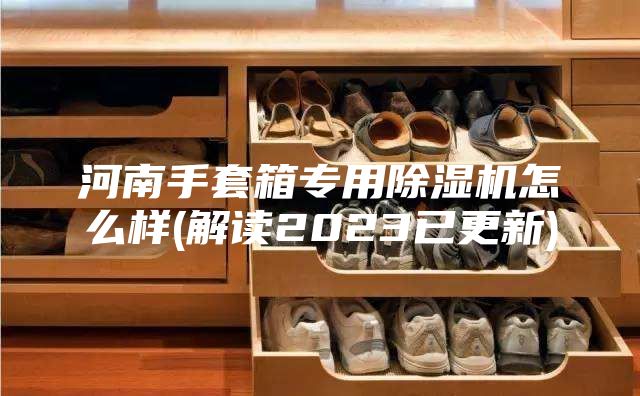 河南手套箱专用除湿机怎么样(解读2023已更新)