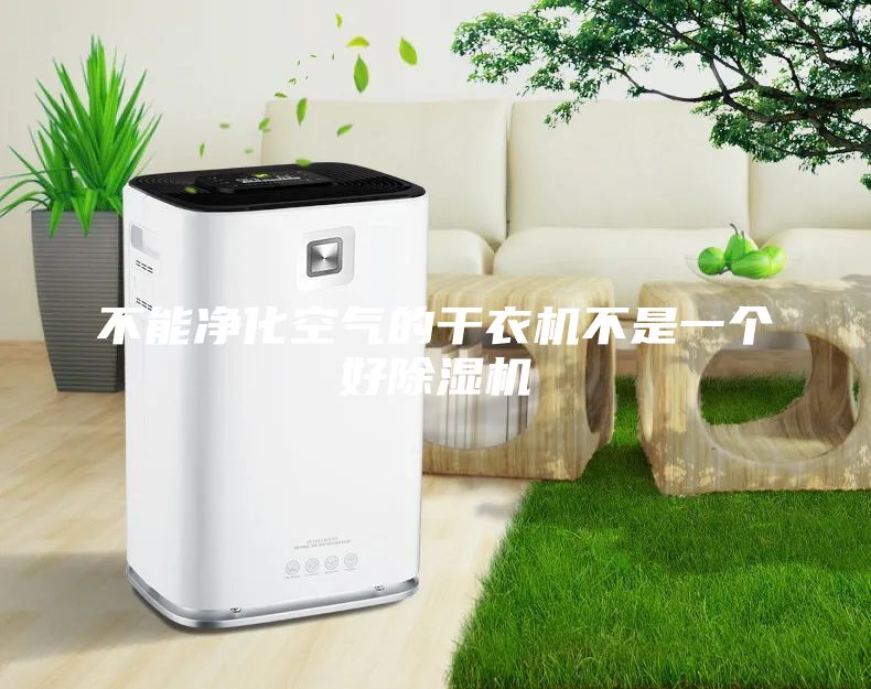 不能净化空气的干衣机不是一个好除湿机