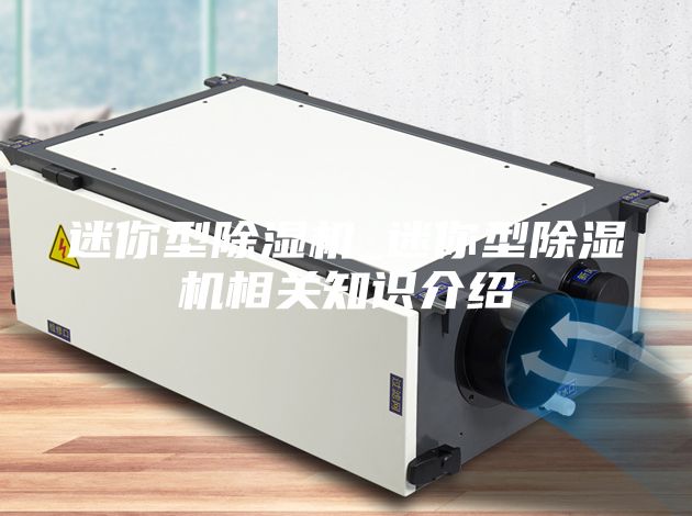 迷你型除湿机_迷你型除湿机相关知识介绍