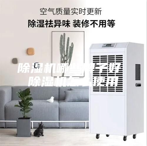 除湿机哪些牌子好 除湿机怎么使用