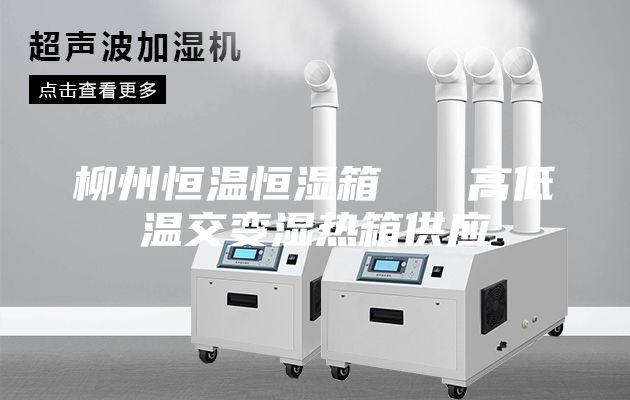 柳州恒温恒湿箱   高低温交变湿热箱供应