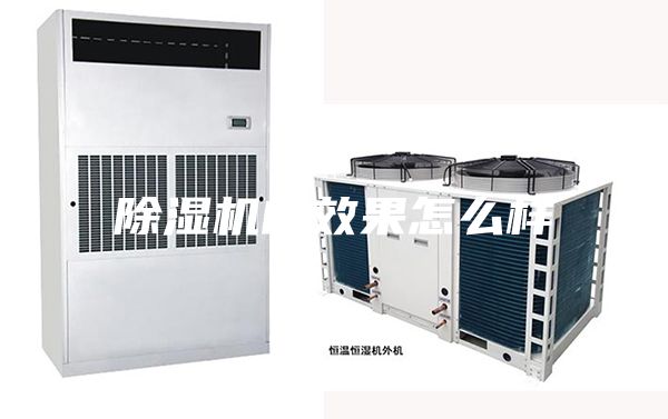 除湿机的效果怎么样