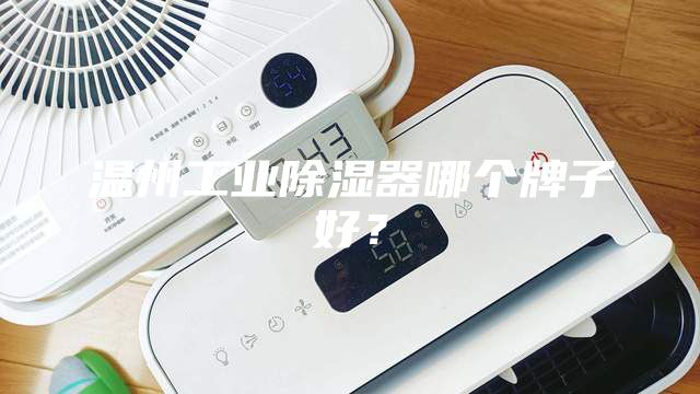 温州工业除湿器哪个牌子好？
