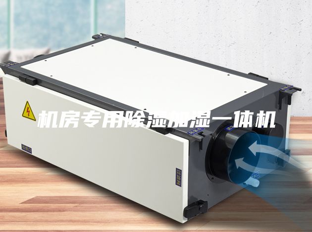 机房专用除湿加湿一体机