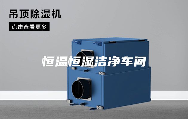 恒温恒湿洁净车间