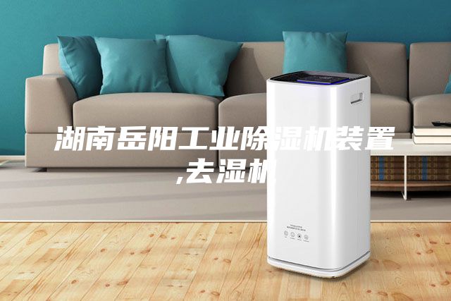 湖南岳阳工业除湿机装置,去湿机