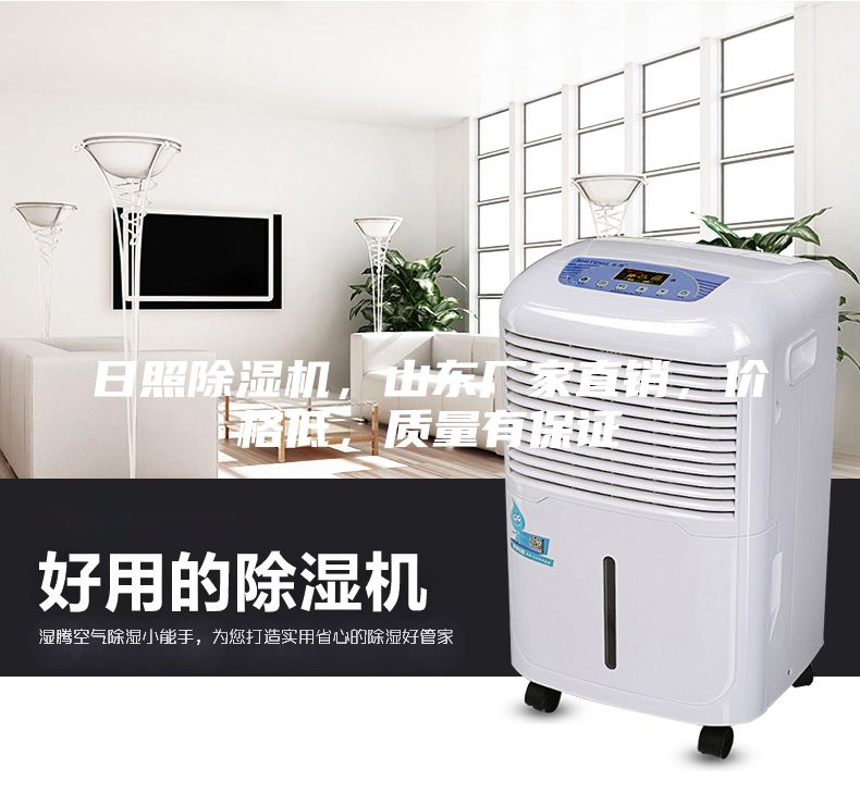 日照除湿机，山东厂家直销，价格低，质量有保证