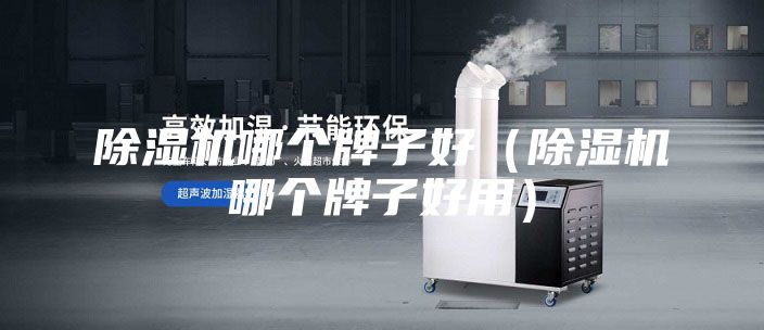 除湿机哪个牌子好（除湿机哪个牌子好用）