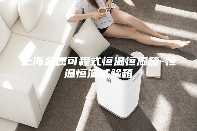 上海金属可程式恒温恒湿箱-恒温恒湿试验箱