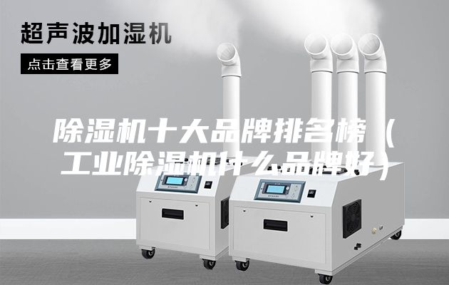 除湿机十大品牌排名榜（工业除湿机什么品牌好）