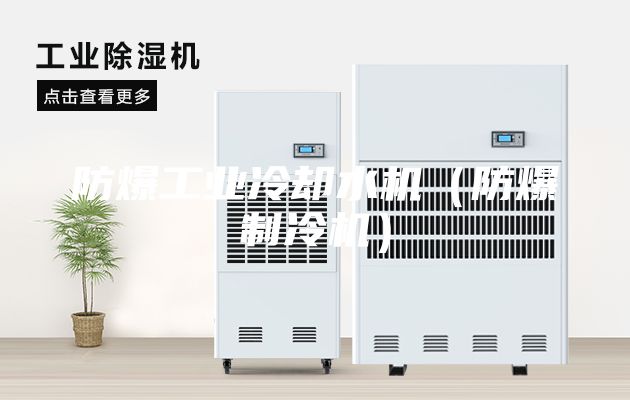 防爆工业冷却水机（防爆制冷机）