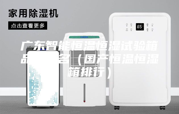 广东智能恒温恒湿试验箱品牌排名（国产恒温恒湿箱排行）