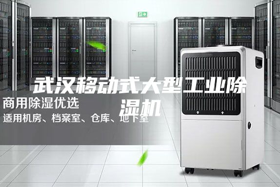 武汉移动式大型工业除湿机