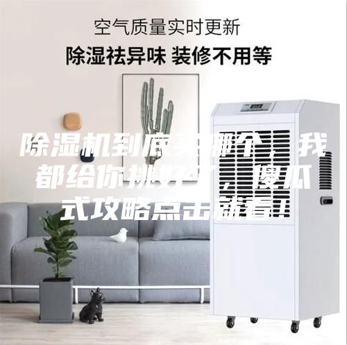 除湿机到底买哪个，我都给你挑好了，傻瓜式攻略点击就看！