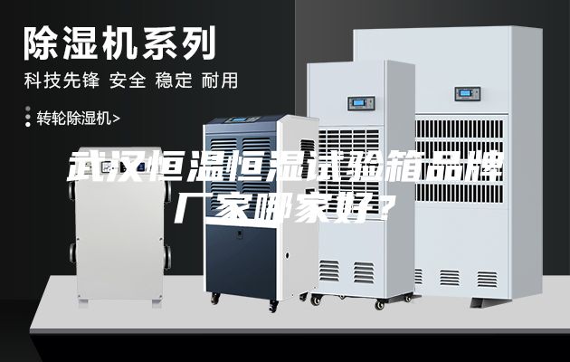 武汉恒温恒湿试验箱品牌厂家哪家好？