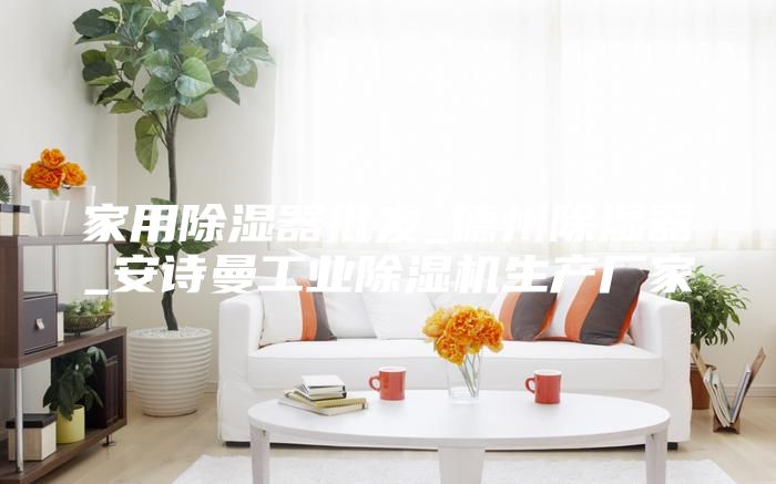 家用除湿器批发_德州除湿器_安诗曼工业除湿机生产厂家
