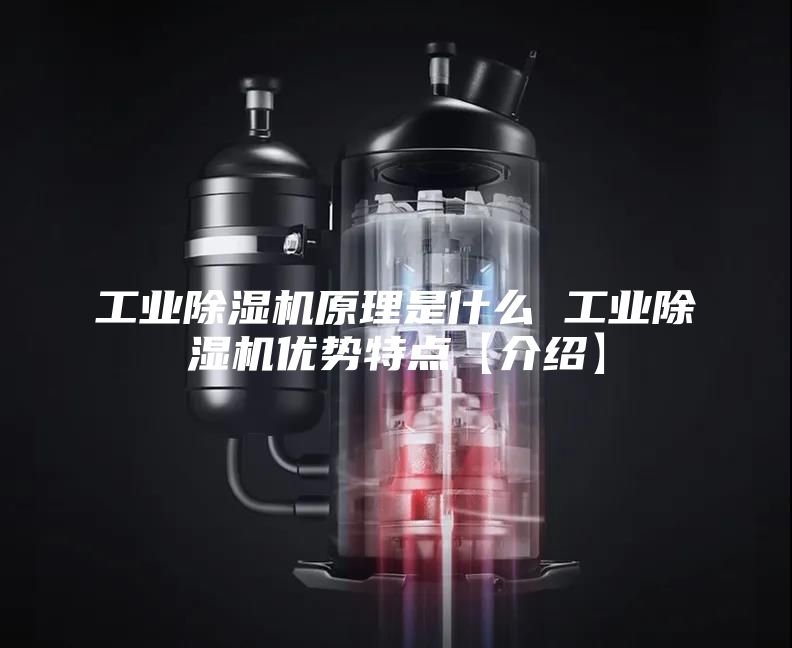 工业除湿机原理是什么 工业除湿机优势特点【介绍】