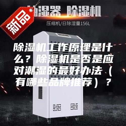 除湿机工作原理是什么？除湿机是否是应对潮湿的最好办法（有哪些品牌推荐）？