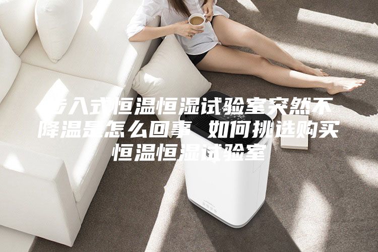步入式恒温恒湿试验室突然不降温是怎么回事 如何挑选购买恒温恒湿试验室