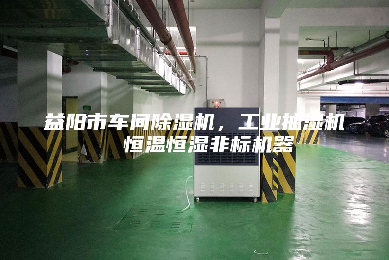 益阳市车间除湿机，工业抽湿机  恒温恒湿非标机器