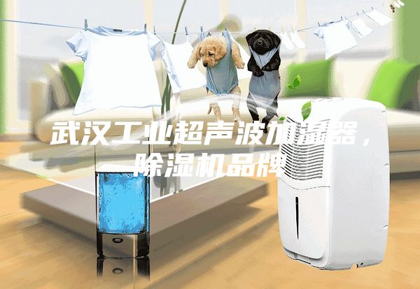 武汉工业超声波加湿器，除湿机品牌
